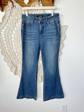 Judy Blue Flare Fit High Rise Jeans Size 11/30 Petite
